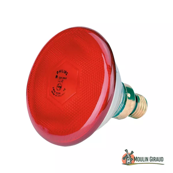 Ampoule chauffante Philips 100W LA – Image 2