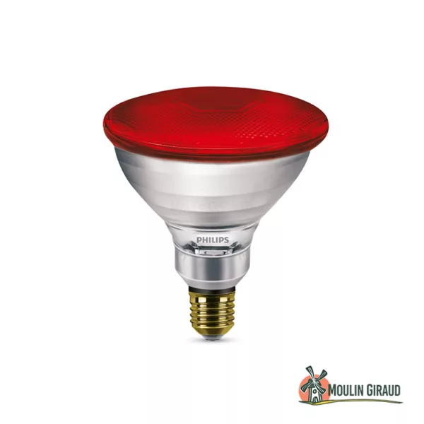 Ampoule chauffante Philips 175W - N1414162 – Image 3