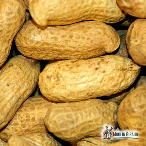 Arachide avec Coque VLA 1,4kg – Image 2