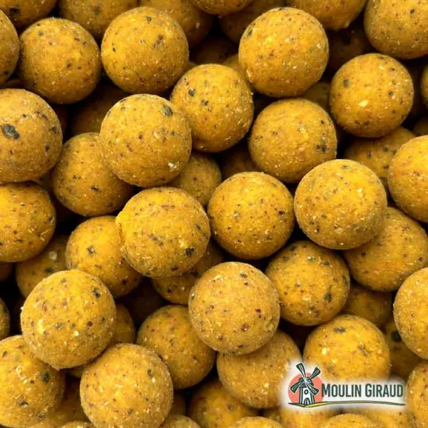 Bouillettes Scopex Cream 20mm