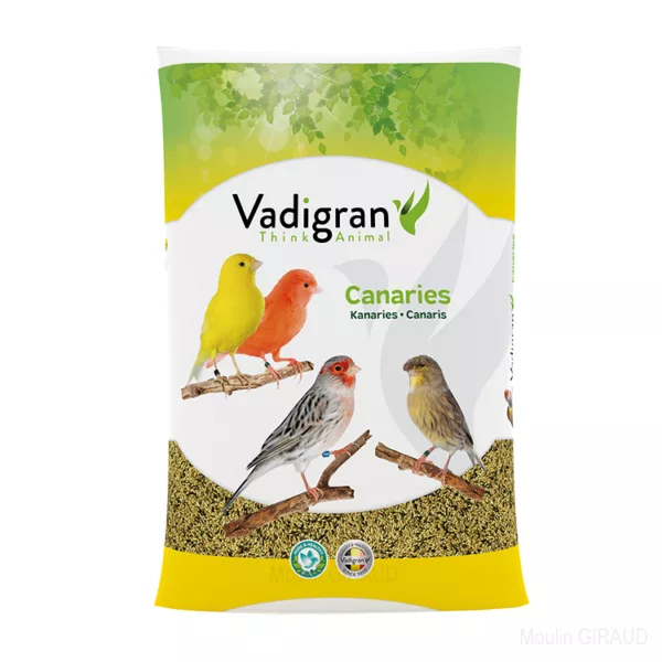 Canaris Posture & Show - Vadigran – Image 2