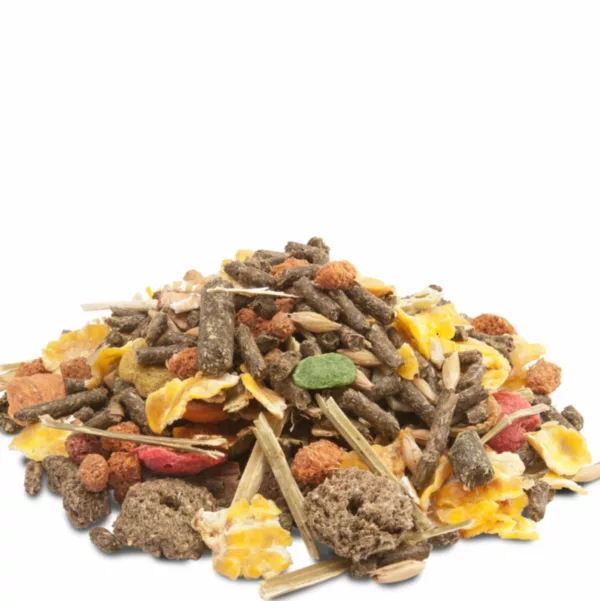 Cavia Crispy Muesli – Image 2