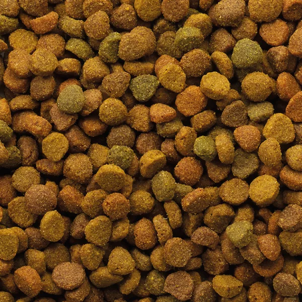 Classic Variety 10kg – Image 2