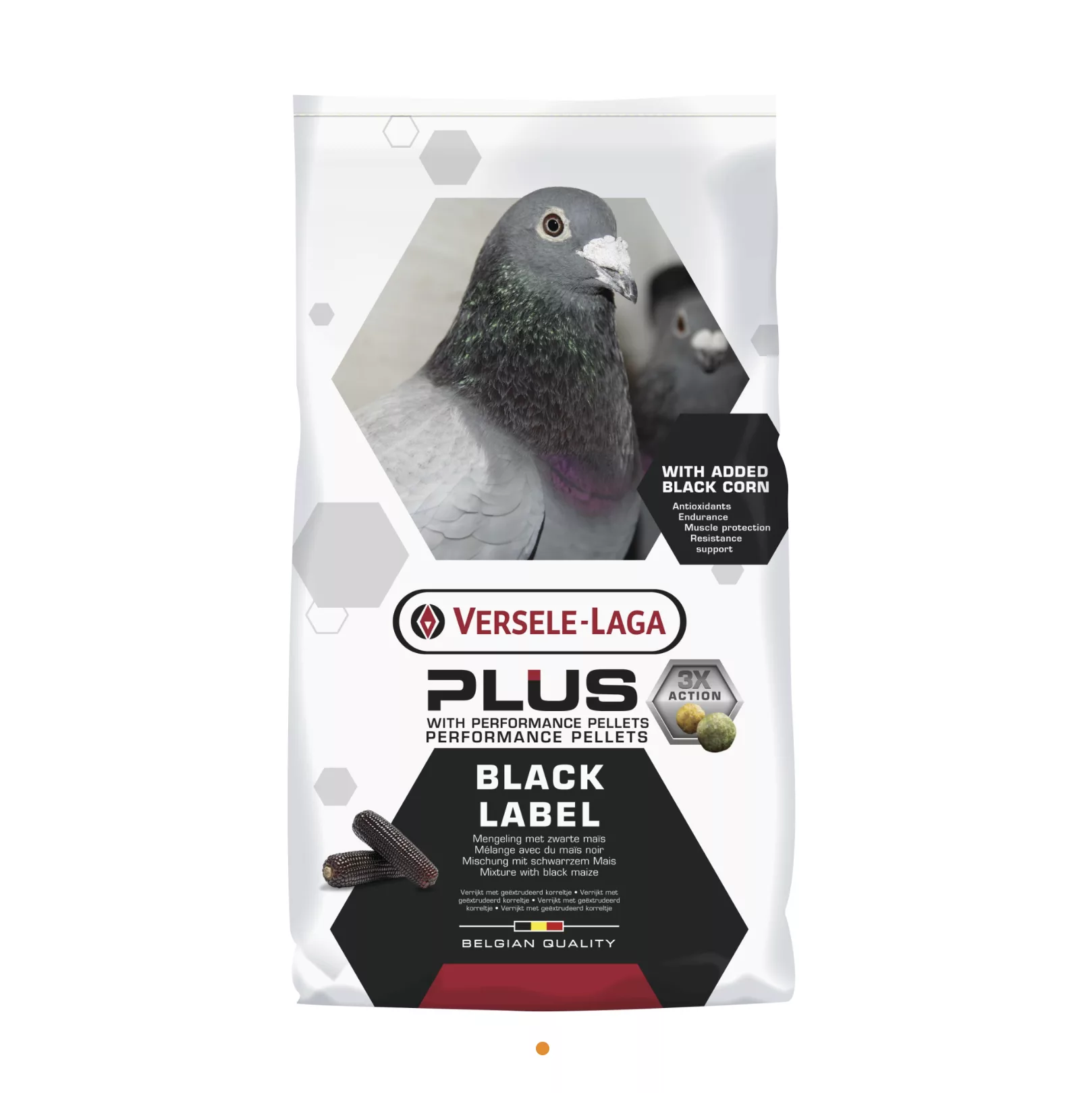 Gerry Plus Black Label 20kg