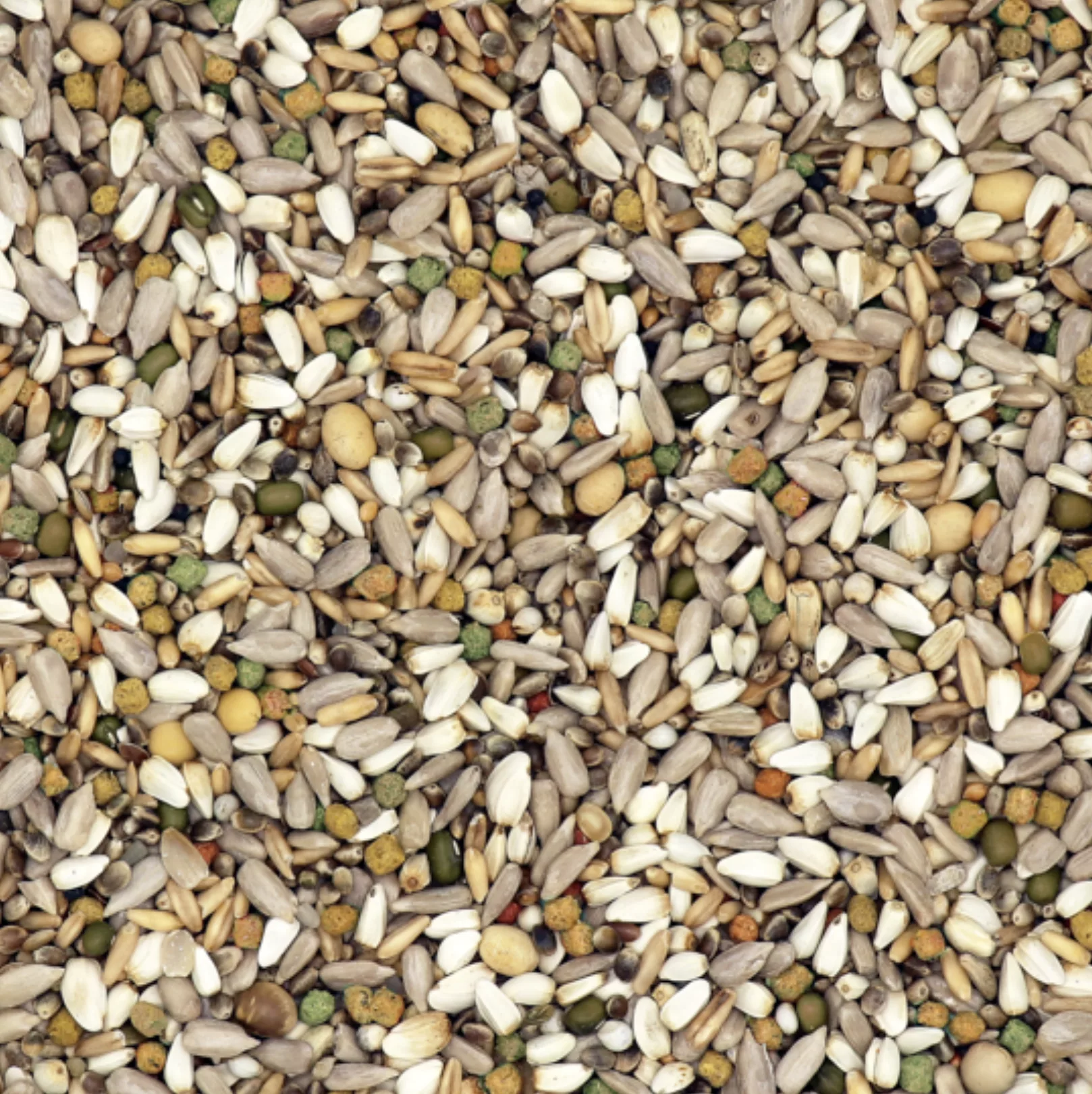 Energy Plus 18kg – Image 2