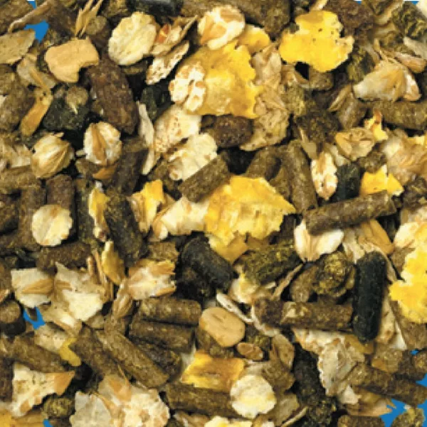 Equilannoo Senior Mix 15kg – Image 2