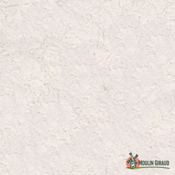 Farine Pain de Campagne 1kg – Image 2