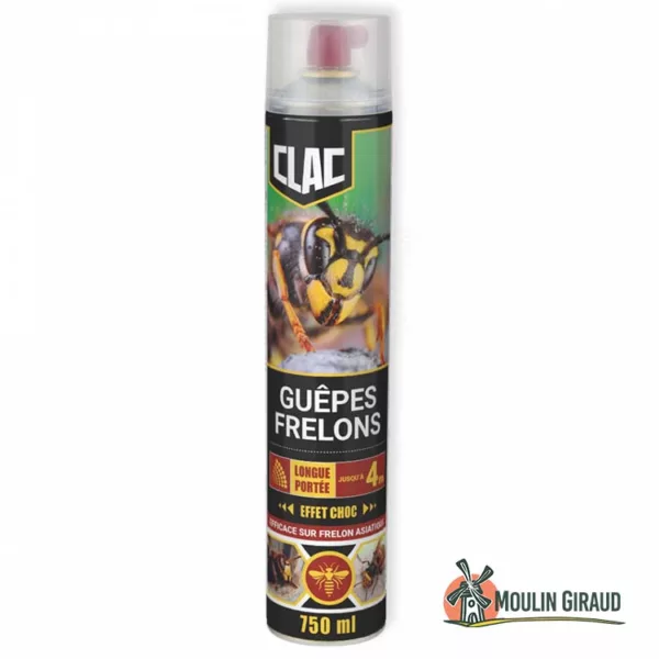 GuepClac Effet Choc Aérosol P 750mL