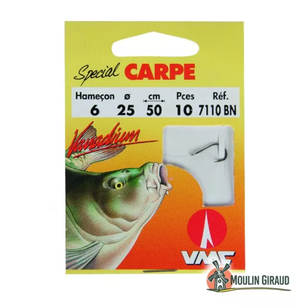 Hameçons montés Spécial Carpe WQ T4 x10