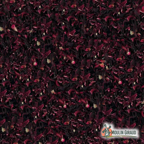Hibiscus – Image 2