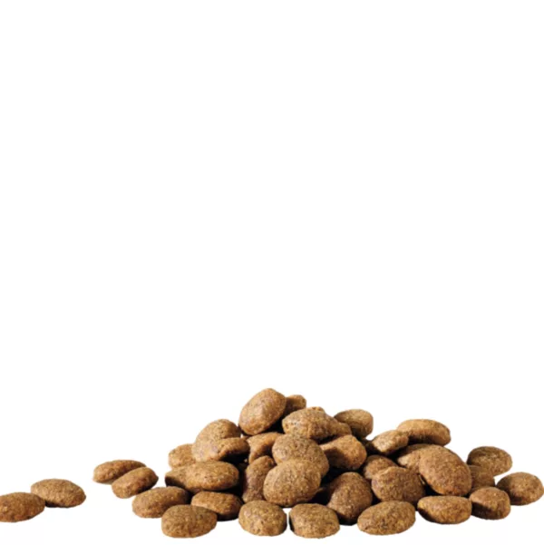 HappyLife Essential 20kg – Image 2