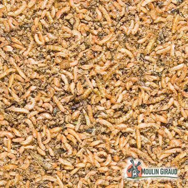 Insect Mix VLA 250g – Image 2