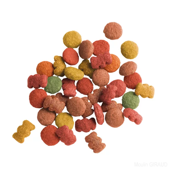 Lara Adult saveur Bœuf – Image 2