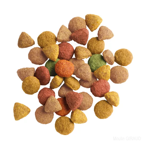 Lara Adult Poulet – Image 2