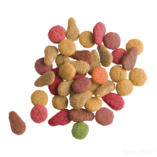 Lara Adult Saumon – Image 2