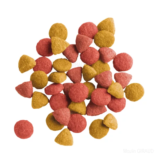 Lara Adult Sterilized – Image 2
