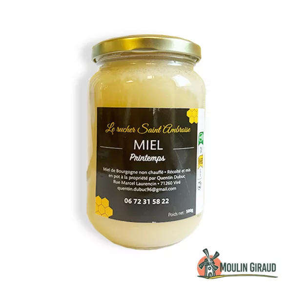 Miel Printemps 500g