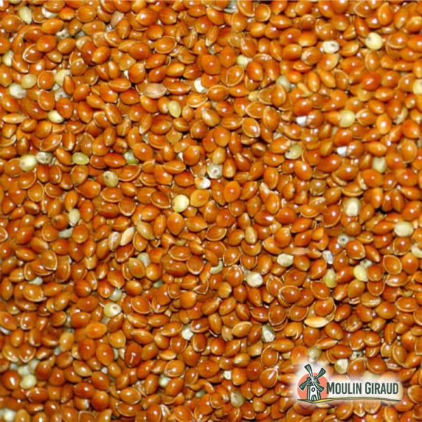 Millet Rouge