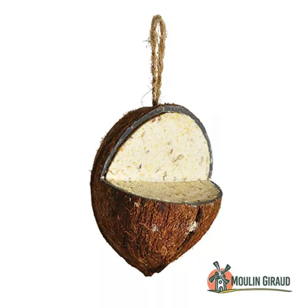 Noix de coco en Graisse - V19242 – Image 2
