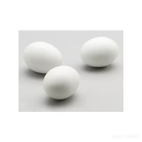 Œuf Factice blanc pour Canaris - 10G