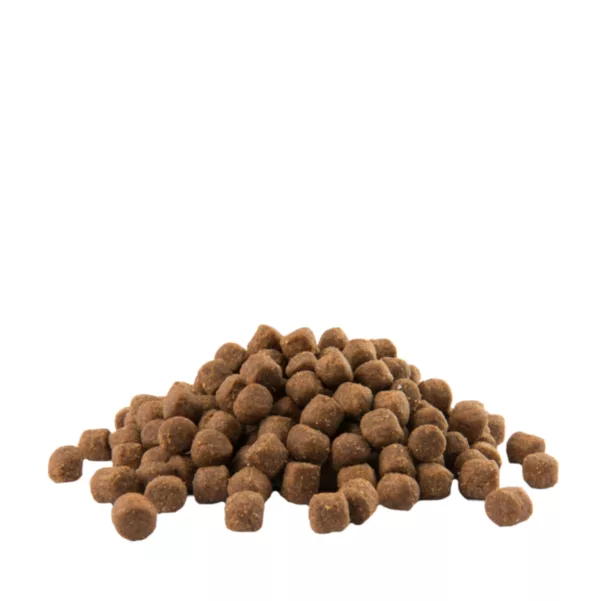 Opti-Life Puppy Saumon – Image 2