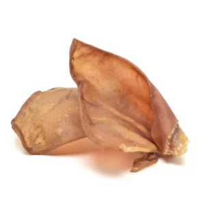 Oreilles de cochon séchées x1