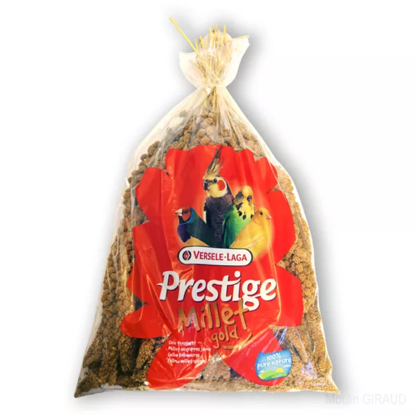 Panic Jaune VLA 1kg