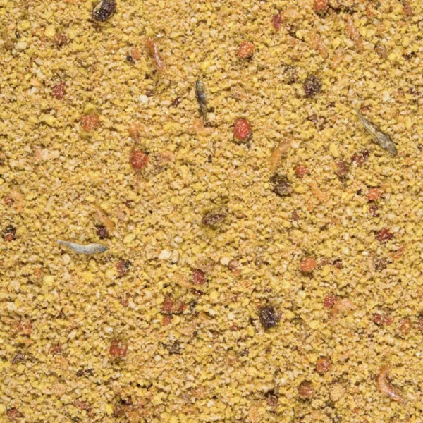 Pâtée Grasse Grandes Perruches et Perroquets Détail