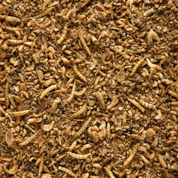 Pâtée Insect Premium (50%) 10kg – Image 2