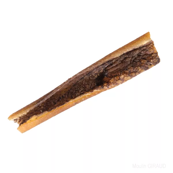 Peau de tête de sanglier x1