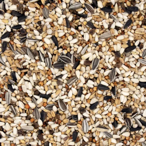 Super Condition Traditional Premium 20kg – Image 2