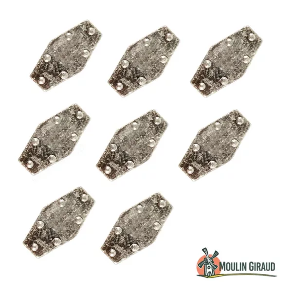Plomb hexagonal à crampons 20g WQ x8