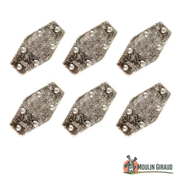 Plomb hexagonal à crampons 30g WQ x6