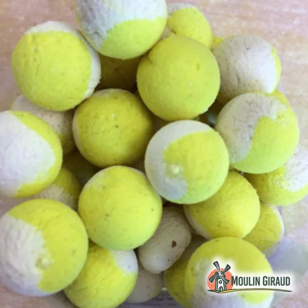 Pop up Fluo 15mm Jaune / Blanc