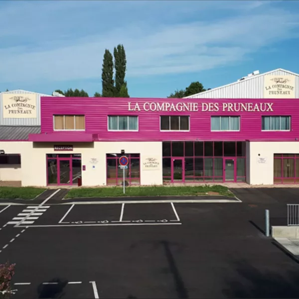 Pruneaux d'Agen IGP 500g – Image 4