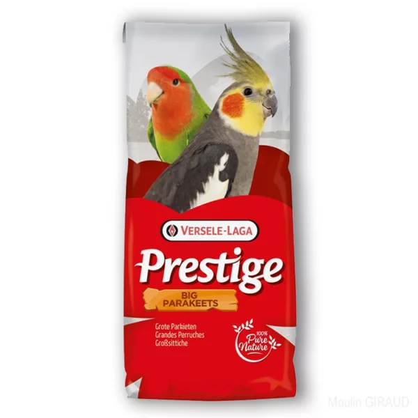 Grandes Perruches Inséparables - Prestige – Image 2