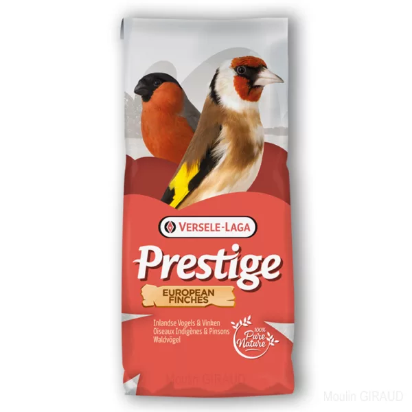 Tarin Blattner 1A - Prestige – Image 2