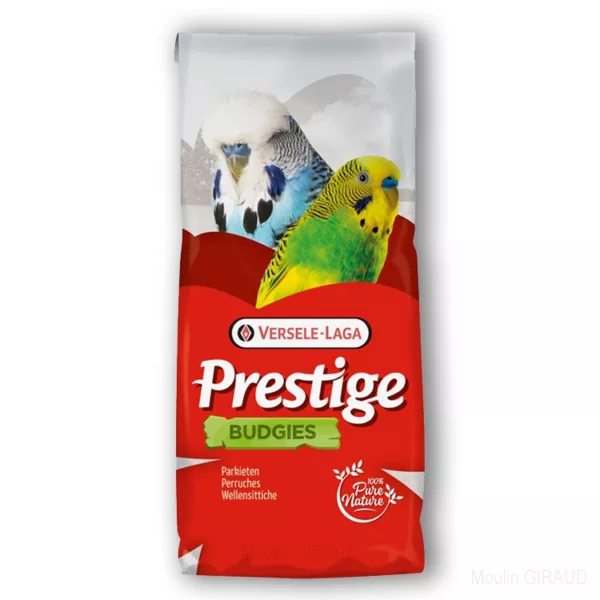 Perruches - Prestige – Image 2