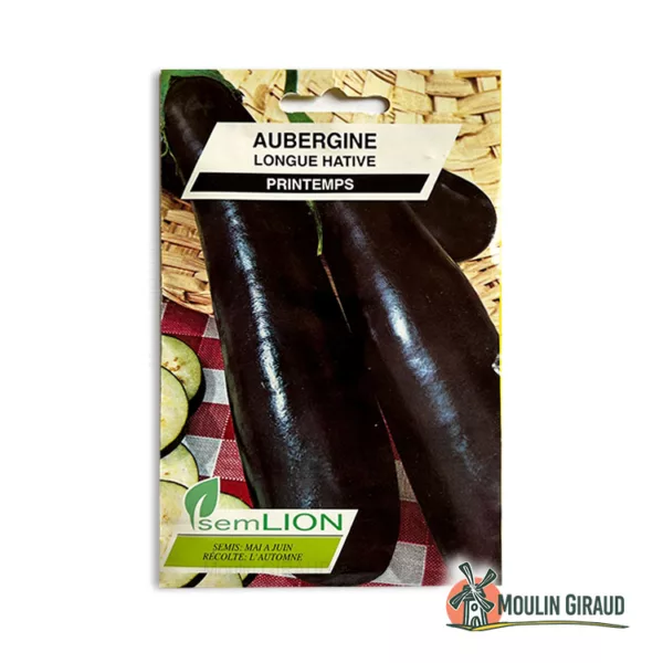 Aubergine longue hative