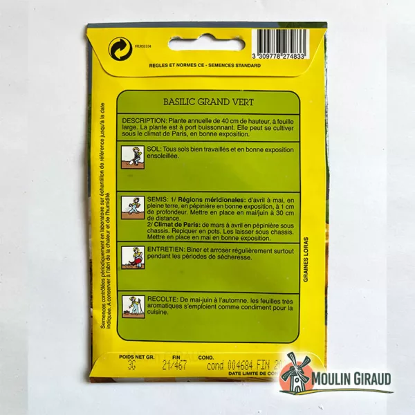 Basilic grand vert – Image 2