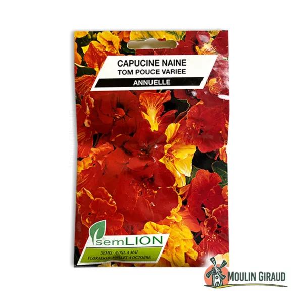 Capucine Naine Tom Pouce variée