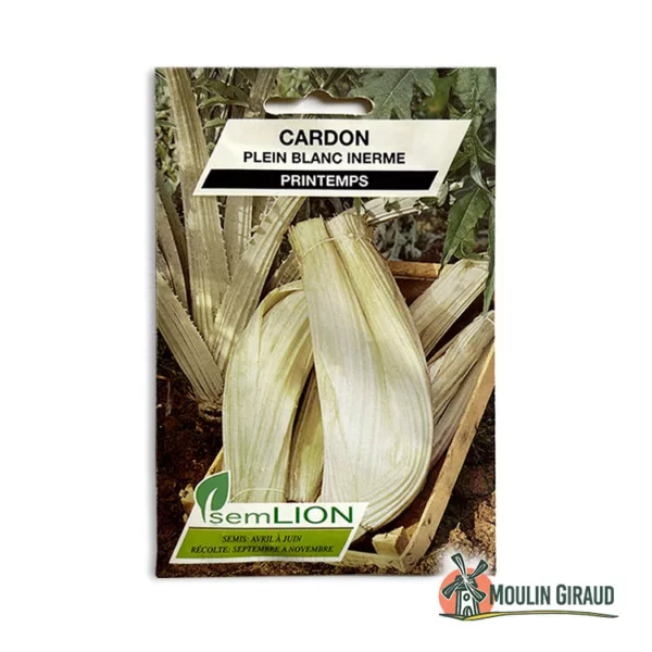 Cardon Plein Blanc Inerme