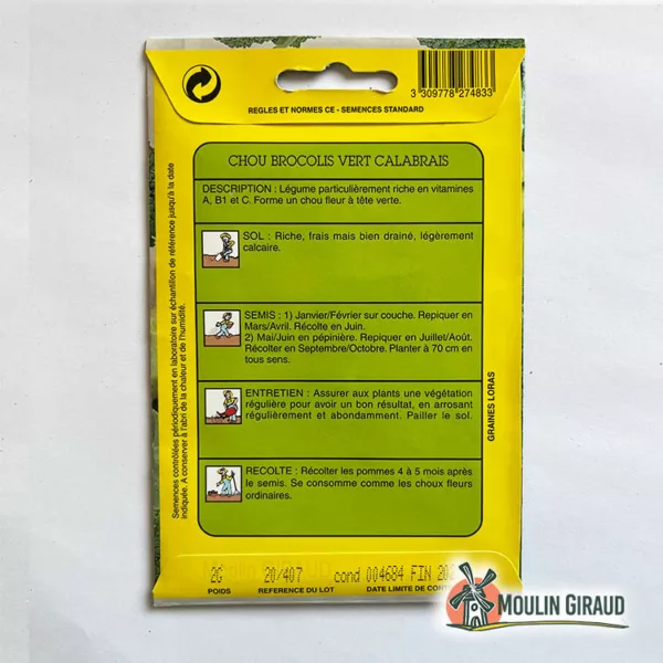 Chou Brocolis Vert Calabrais – Image 3