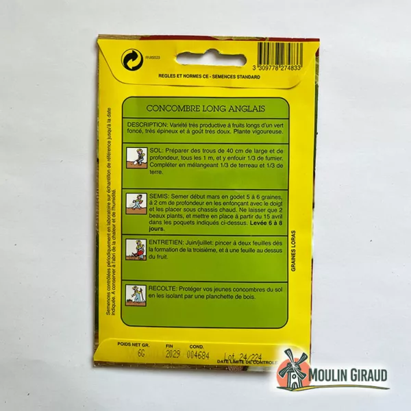 Concombre vert long Anglais – Image 2