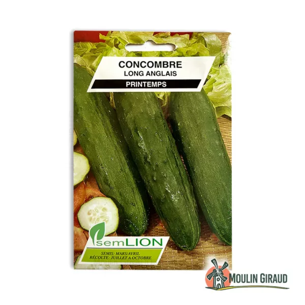 Concombre vert long Anglais