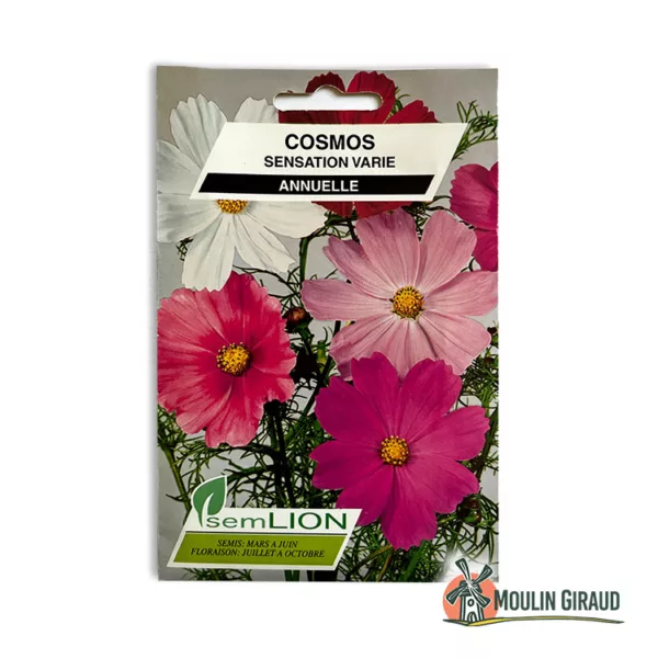 Cosmos Sensation varié