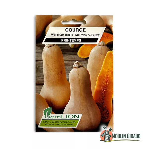 Courge Waltham Butternut