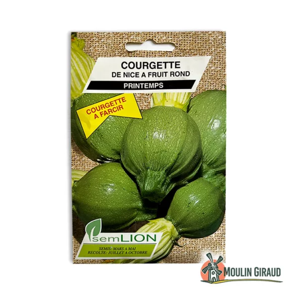 Courgette de Nice à fruits ronds