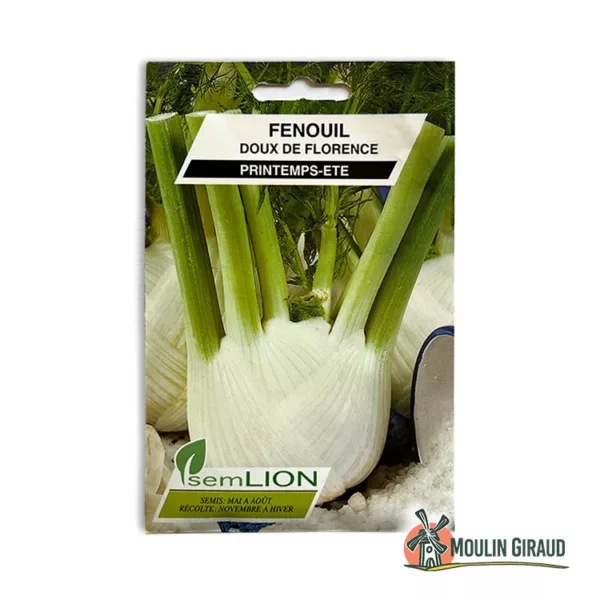 Fenouil doux de Florence