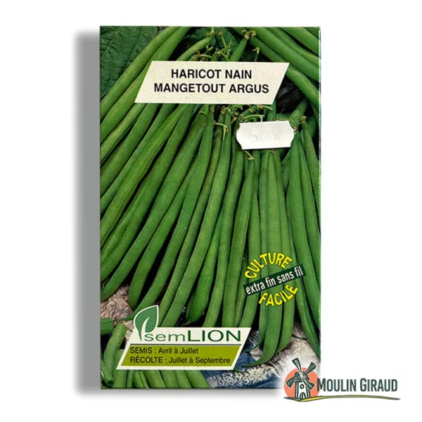 Haricot Argus nain - filets sans fil